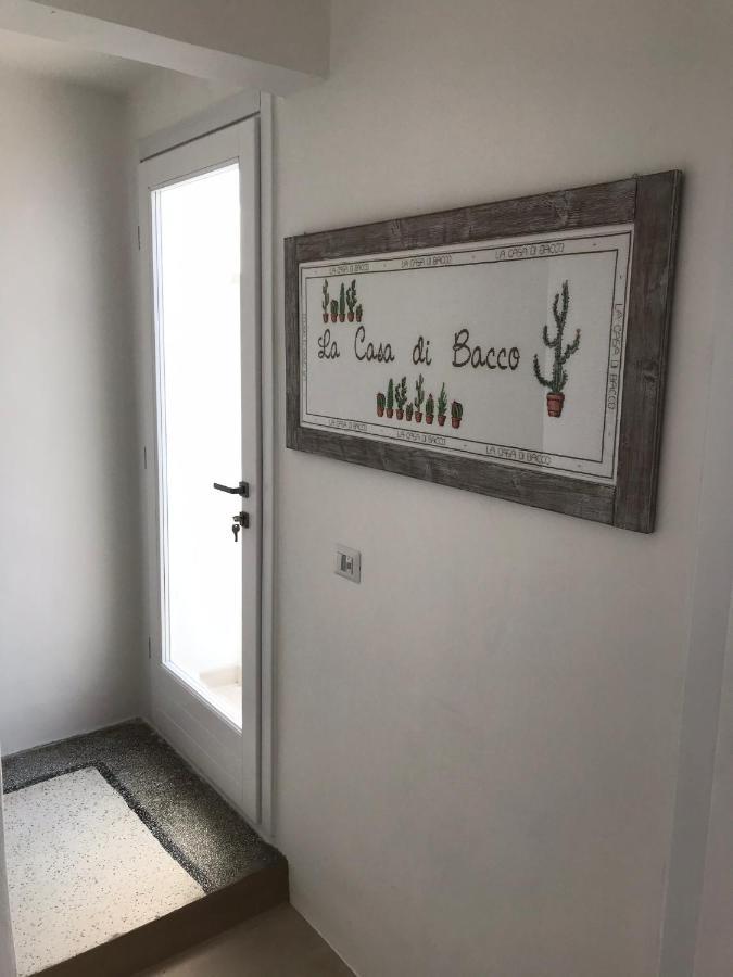 La Casa Di Bacco B&B Alezio Exteriér fotografie